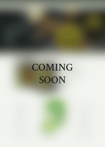 layout-04.png 
